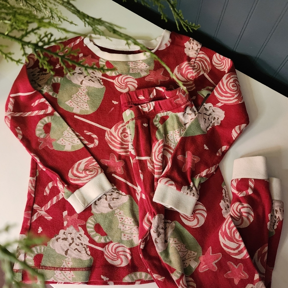 Burt Bees Holiday Christmas Pajama Set 3t
